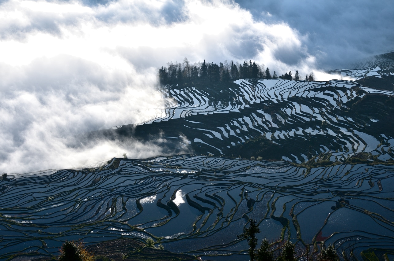 Rizieres de Yuanyang Yunnan 1