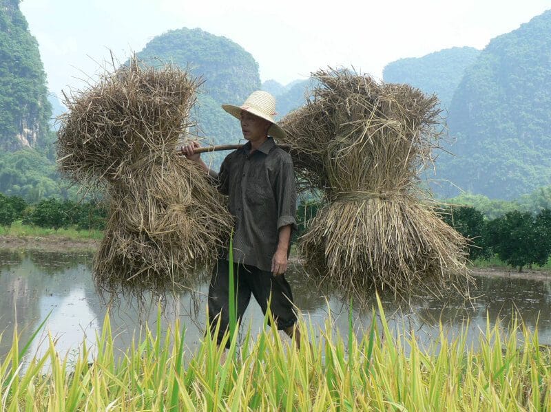 paysan Guilin Chine