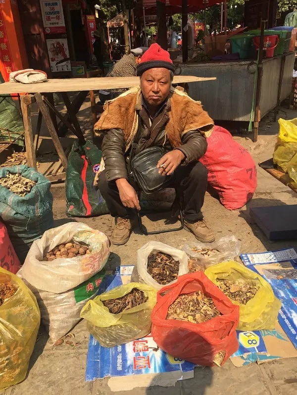 Homme Marche de Shaxi Yunnan Chine