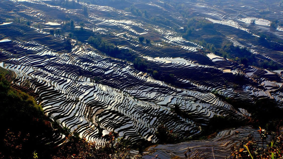 Rizieres en terrasse Bada Yuanyang