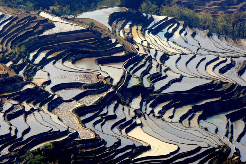 Rizieres en terrasses Laoyingzui Yuanyang Yunnan Rizieres en terrasses Laoyingzui Yuanyang Yunnan