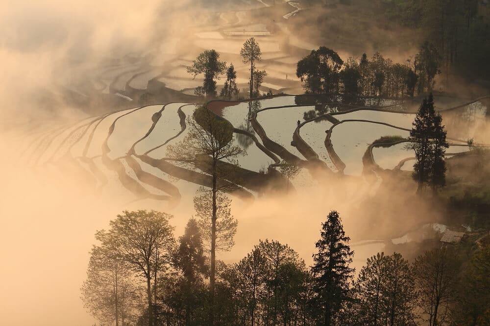 Rizieres matin Duoyishu Yuanyang Rizieres matin Duoyishu Yuanyang