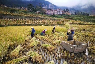 Yuanyang Chine