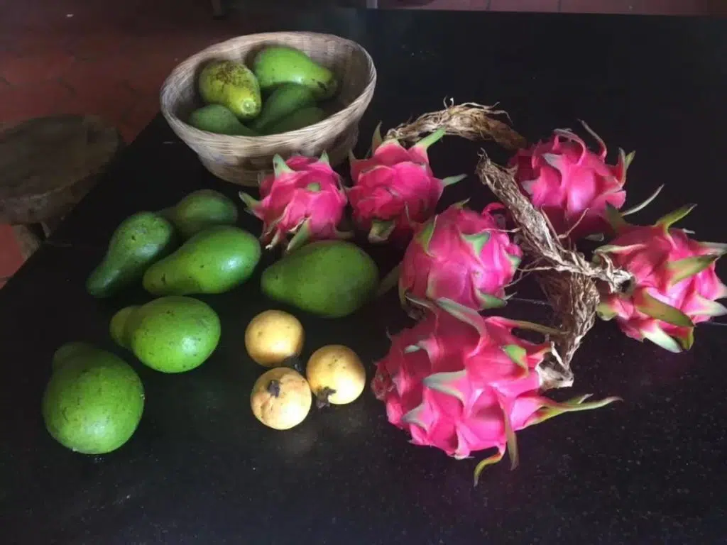 Les fruits de Yourantai Les fruits de Yourantai