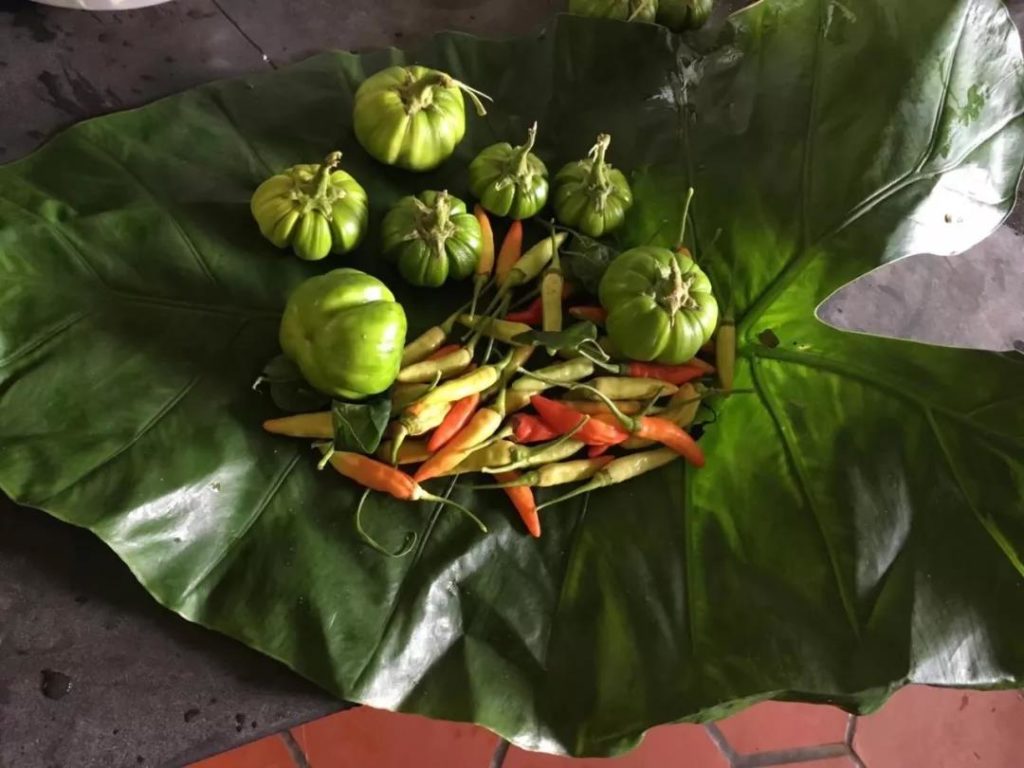 Les légumes frais de Yourantai
