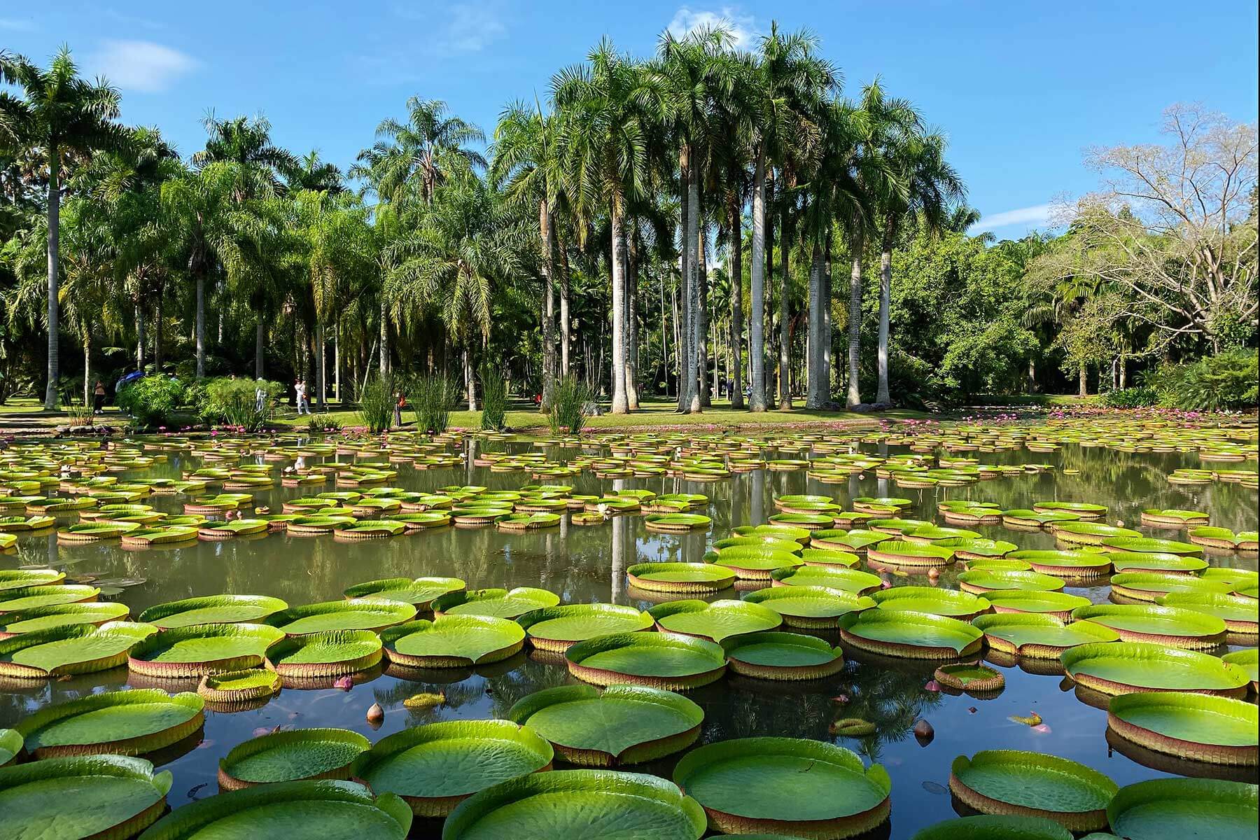 yunnan xishuangbanna