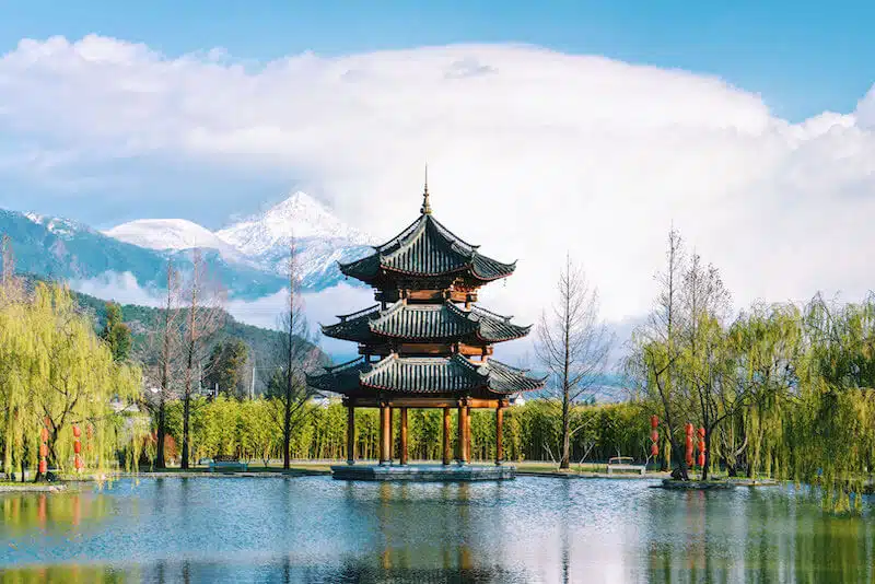 Lijiang Banyan tree